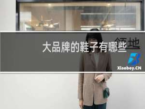 大品牌的鞋子有哪些