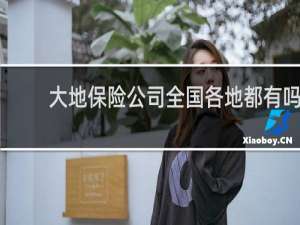 大地保险公司全国各地都有吗