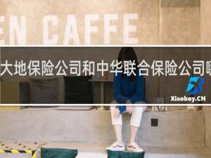 大地保险公司和中华联合保险公司哪个好