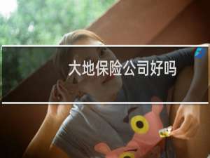 大地保险公司好吗