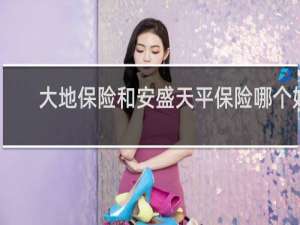 大地保险和安盛天平保险哪个好