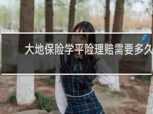 大地保险学平险理赔需要多久