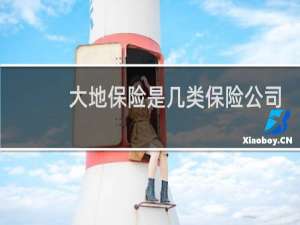 大地保险是几类保险公司