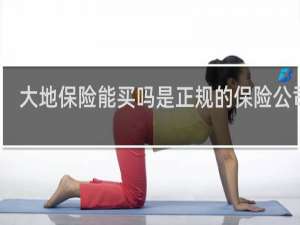 大地保险能买吗是正规的保险公司吗