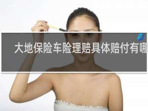 大地保险车险理赔具体赔付有哪些