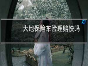 大地保险车险理赔快吗