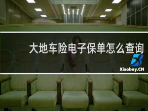 大地车险电子保单怎么查询