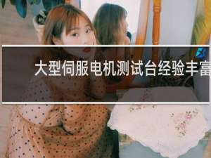 大型伺服电机测试台经验丰富