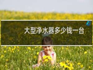 大型净水器多少钱一台