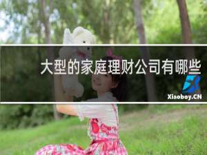 大型的家庭理财公司有哪些