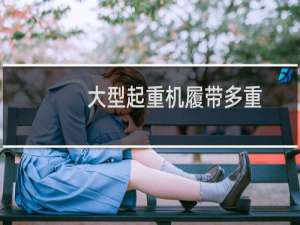 大型起重机履带多重