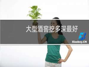 大型酒窖挖多深最好
