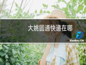 大姚圆通快递在哪