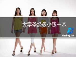 大字圣经多少钱一本
