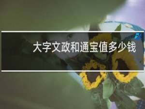 大字文政和通宝值多少钱