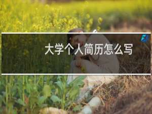 大学个人简历怎么写