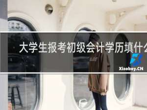 大学生报考初级会计学历填什么