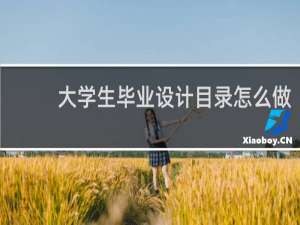 大学生毕业设计目录怎么做