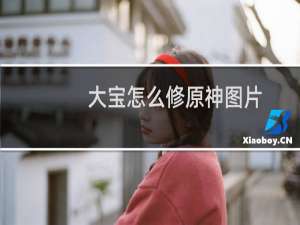 大宝怎么修原神图片