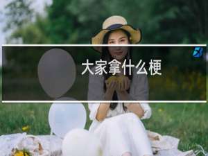 大家拿什么梗