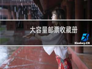 大容量邮票收藏册