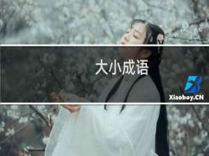 大小成语
