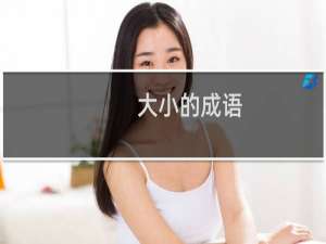 大小的成语