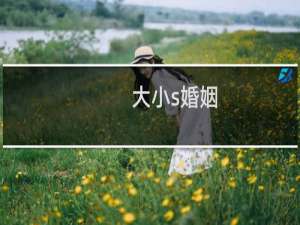 大小s婚姻
