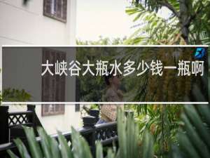 大峡谷大瓶水多少钱一瓶啊