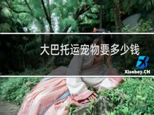大巴托运宠物要多少钱