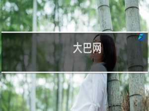 大巴网