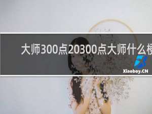 大师300点 300点大师什么梗