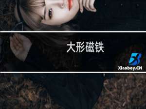 大形磁铁