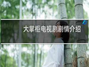大掌柜电视剧剧情介绍
