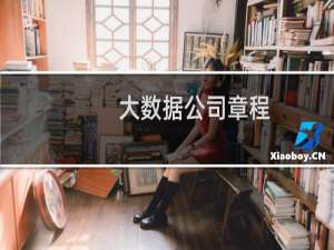 大数据公司章程