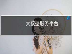 大数据服务平台