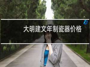 大明建文年制瓷器价格