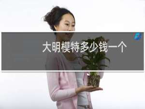 大明模特多少钱一个