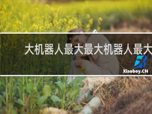 大机器人最大最大机器人最大