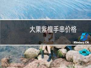 大果紫檀手串价格