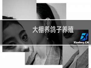 大棚养鸽子养殖
