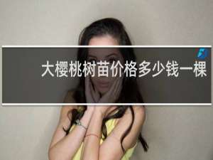 大樱桃树苗价格多少钱一棵