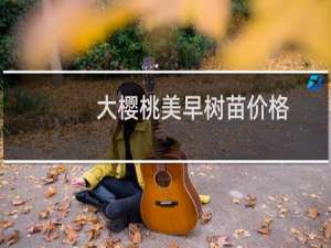 大樱桃美早树苗价格