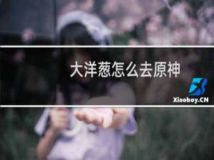 大洋葱怎么去原神