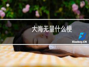 大海无量什么梗
