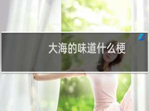 大海的味道什么梗