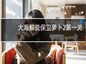 大海解说保卫萝卜2第一关