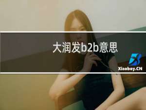 大润发b2b意思