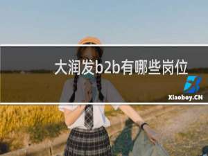 大润发b2b有哪些岗位