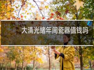大清光绪年间瓷器值钱吗